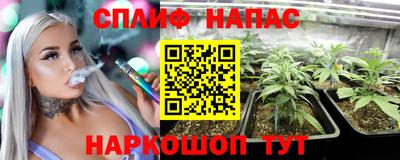бошки Ставрополь