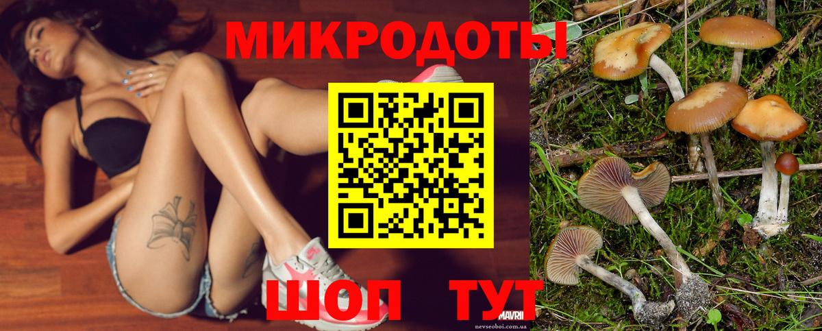 Псилоцибиновые грибы мицелий Ачинск