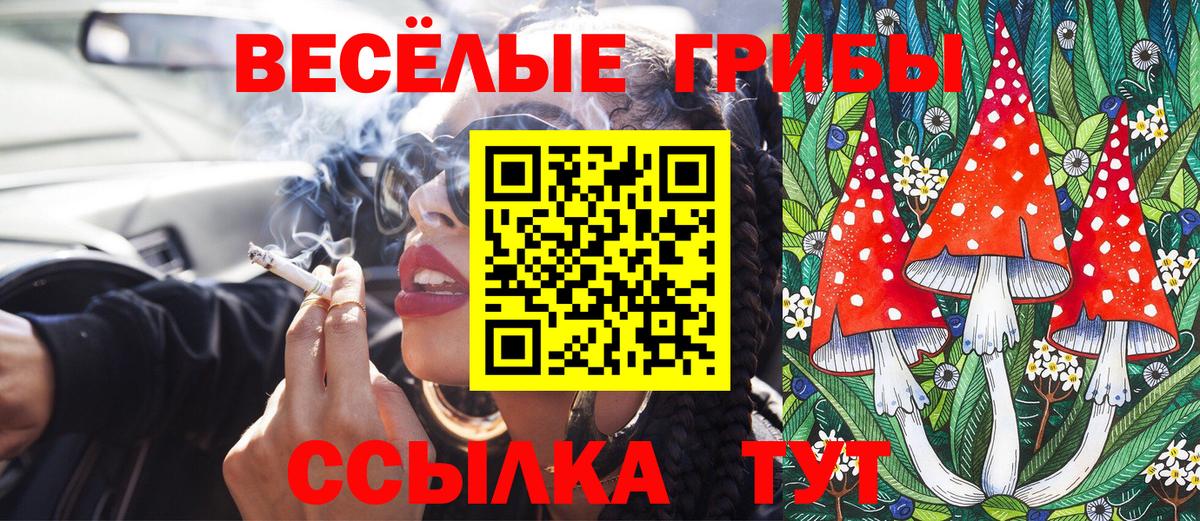 Ачинск  Галлюциногенные грибы ЛСД  Вход с VPN 